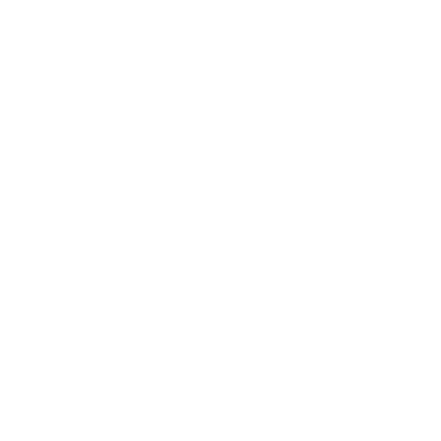 Christmas Night Market